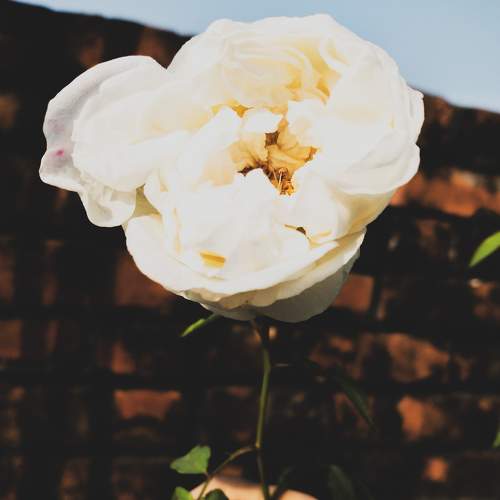 Photo #5600780