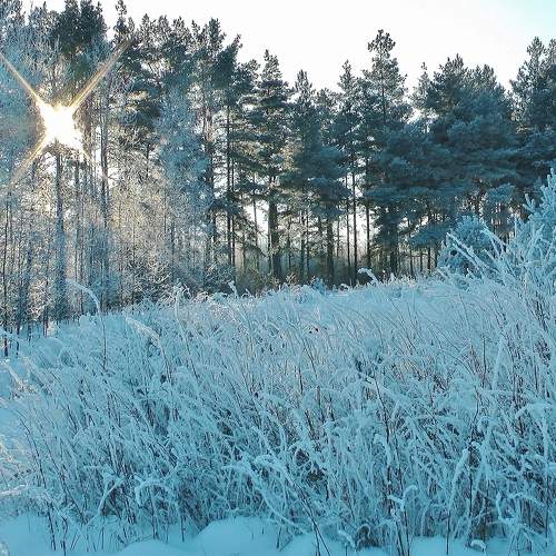 Photo #5600975