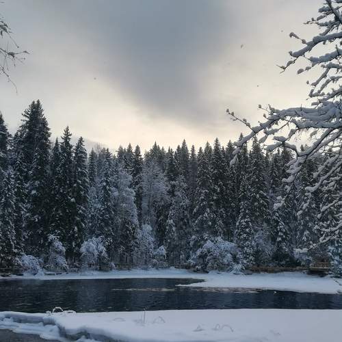 Photo #5601211