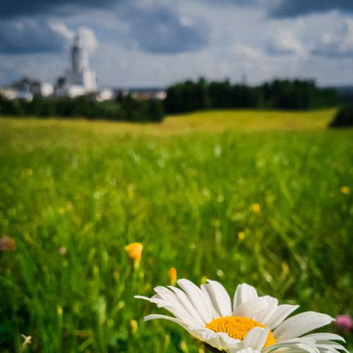 Photo #5601714