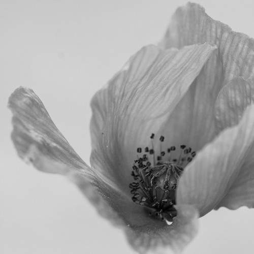 Photo #5601876