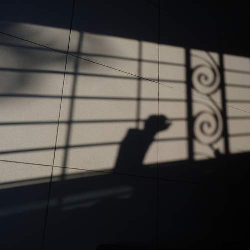 Photo #5601880