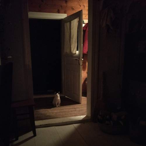 Photo #5602420