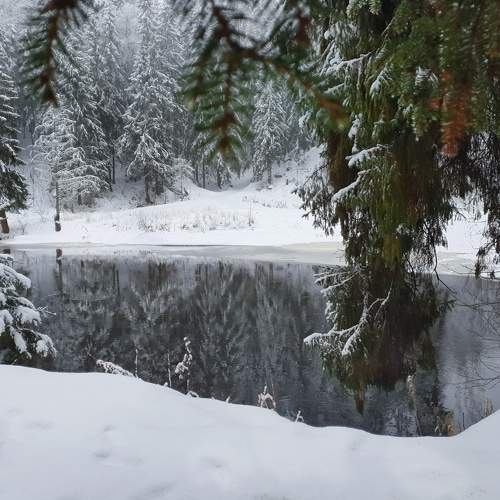 Photo #5602439