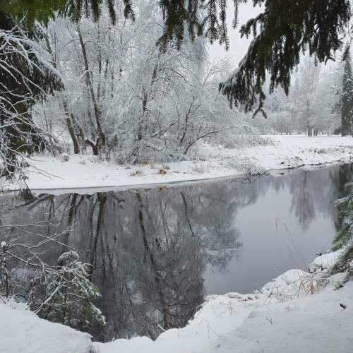 Photo #5602451