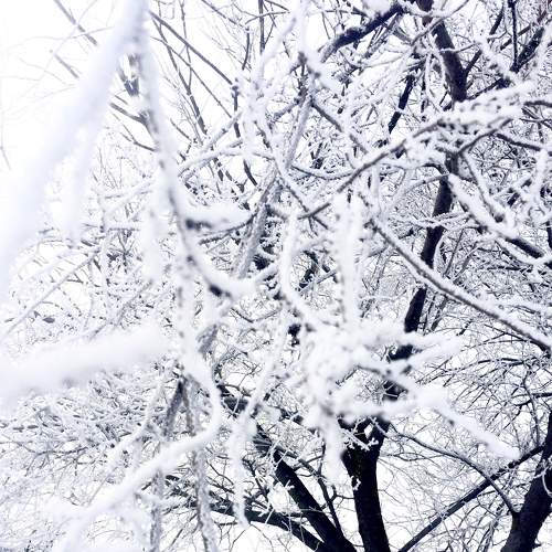 Photo #5602493
