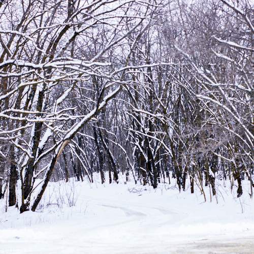 Photo #5602495