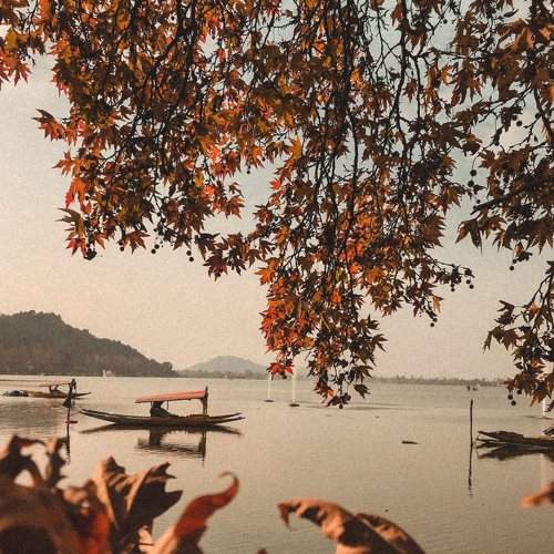 Photo #5602538