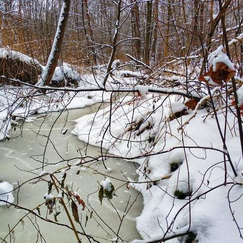 Photo #5602668