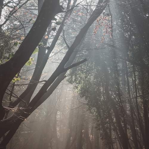 Photo #5603061