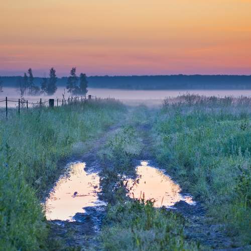 Photo #5603137