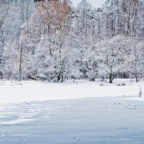 Photo #5603208