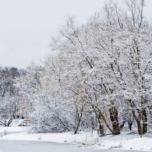 Photo #5603209
