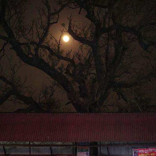Photo #5603411
