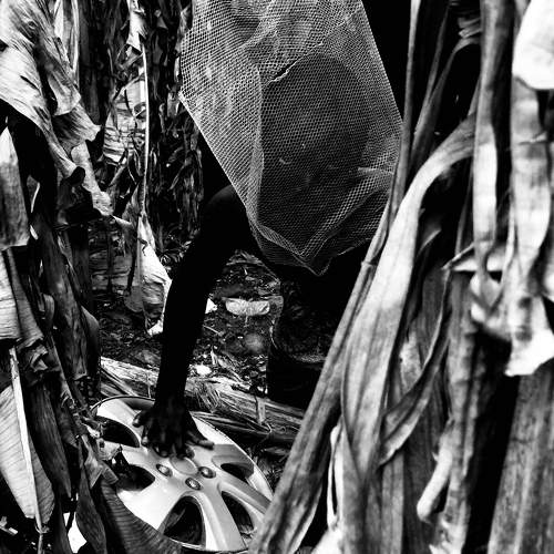 The Lurker in the woods.