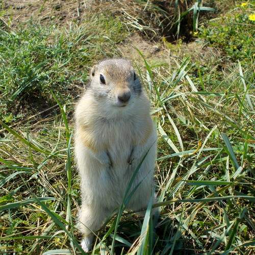 Photo #5604700
