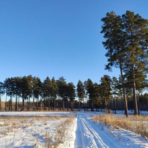 Photo #5604773