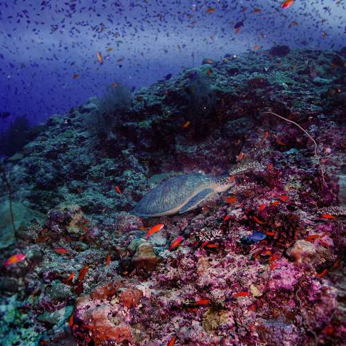 Photo #5606075