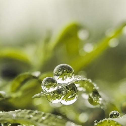 Photo #5606461