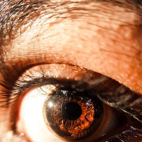 Photo #5606488