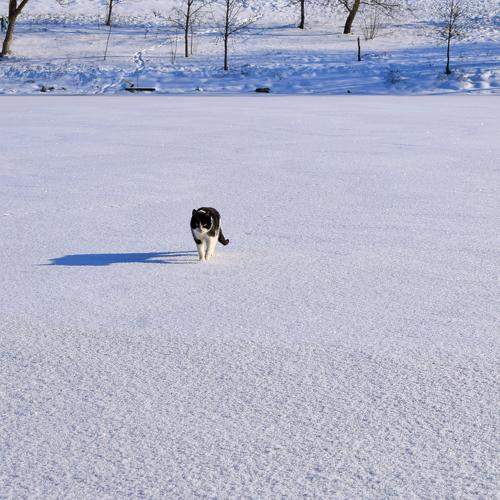 Photo #5606623