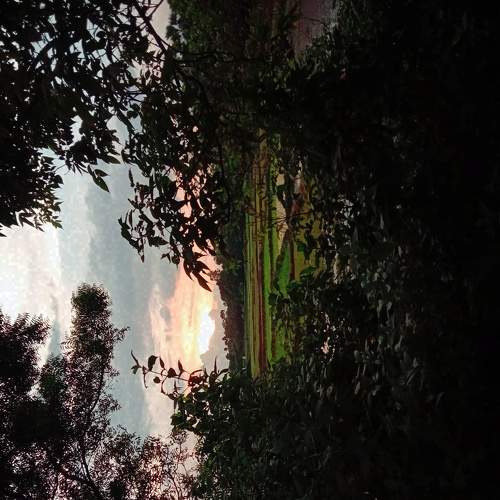 Photo #5606632