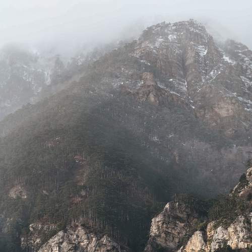 Photo #5606688