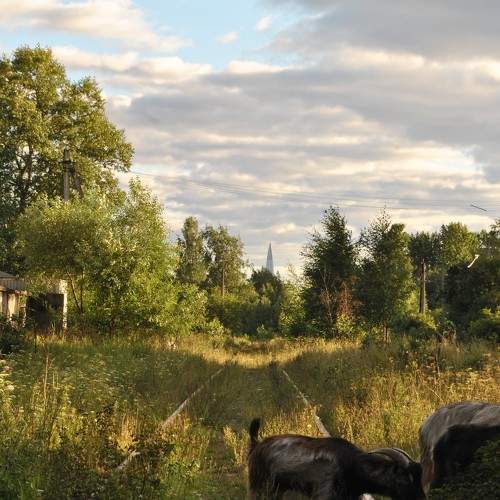 Photo #5606756