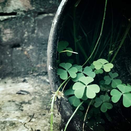 Photo #5606784