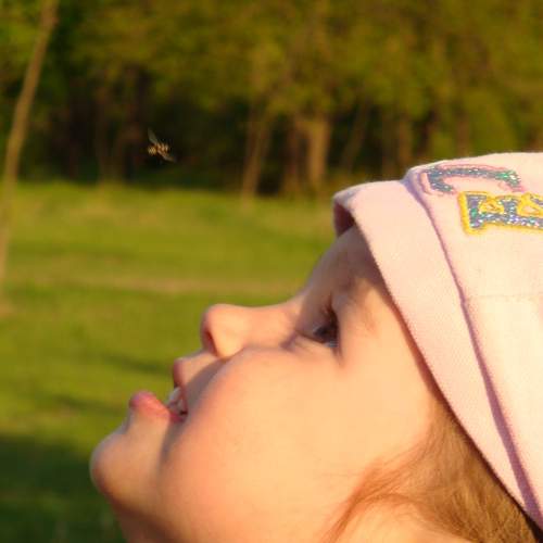 Photo #5606794