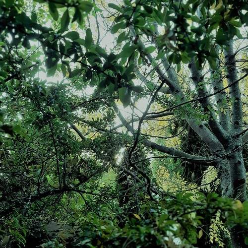 Photo #5606859