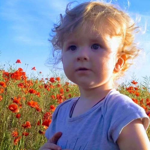 Photo #5606882