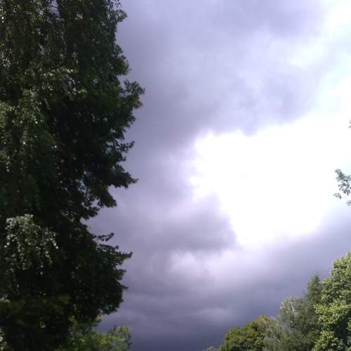 Photo #5607029