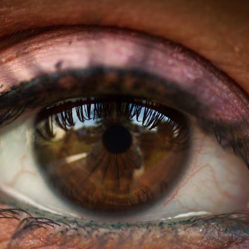 Photo #5607031