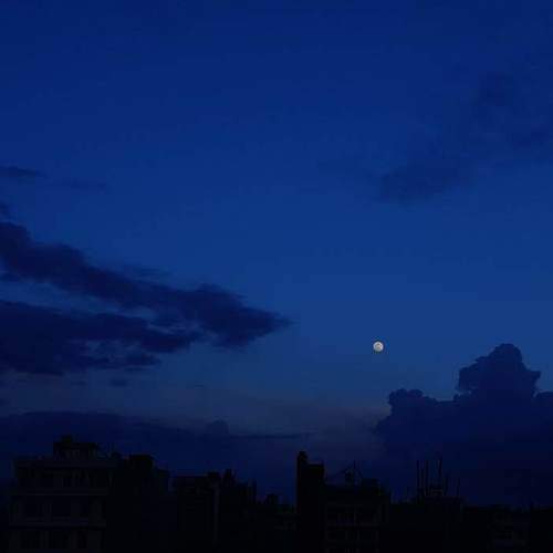 Photo #5607428