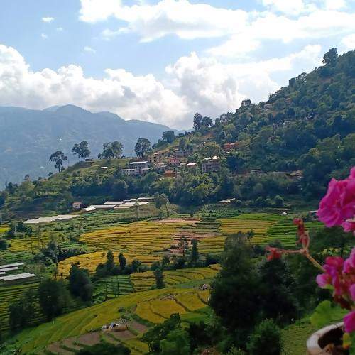 Photo #5607505