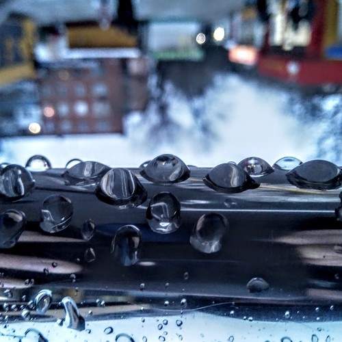 Photo #5607565