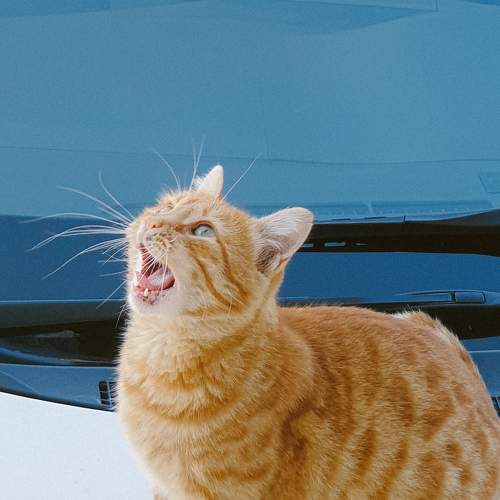 Photo #5607678