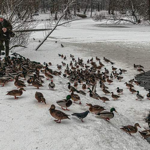 Photo #5607683