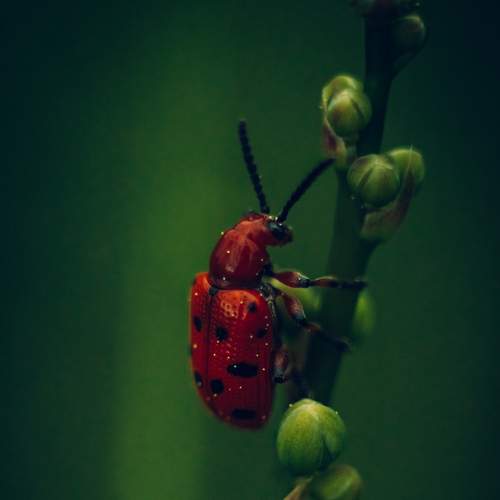 Photo #5607793