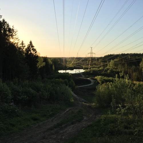 Photo #5608421