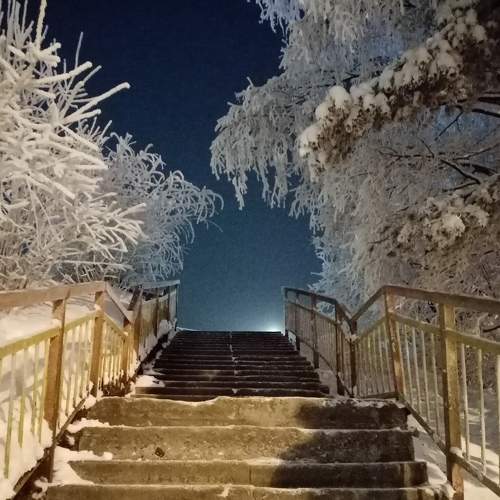 Photo #5608435