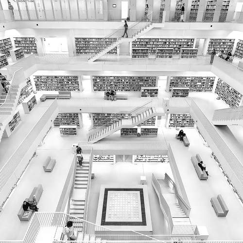 The Maze