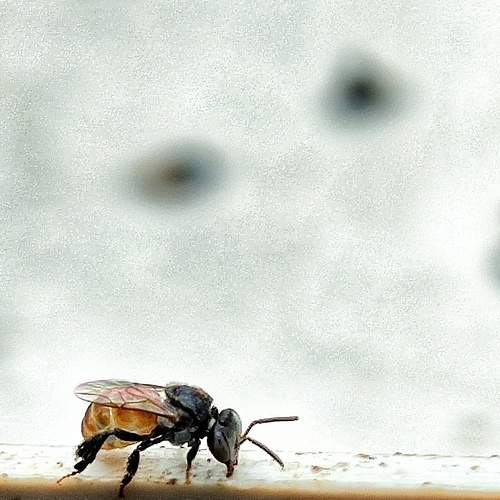 Photo #5609782