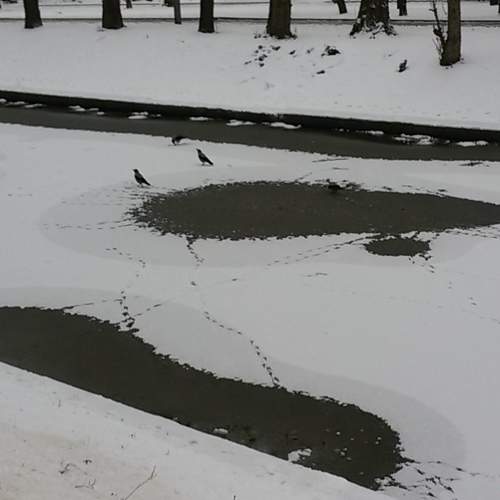 Оттепель в городском парке