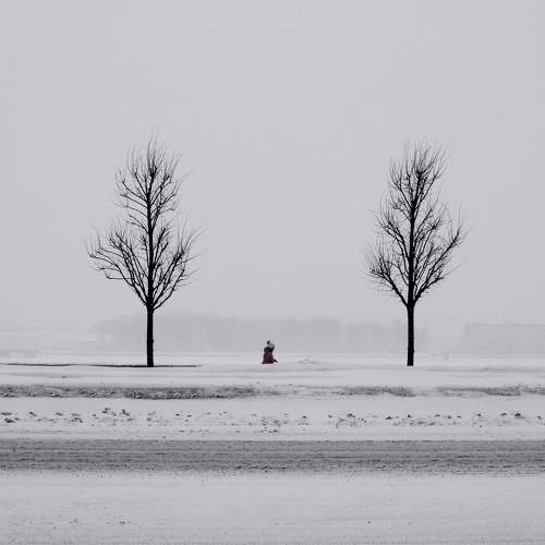 Photo #5609842