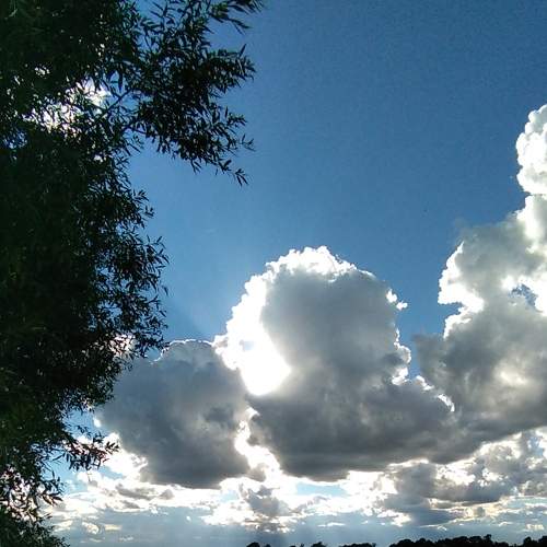 Photo #5609867
