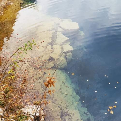 Photo #5610089