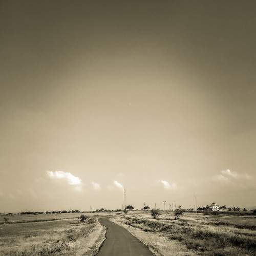 Photo #5610827
