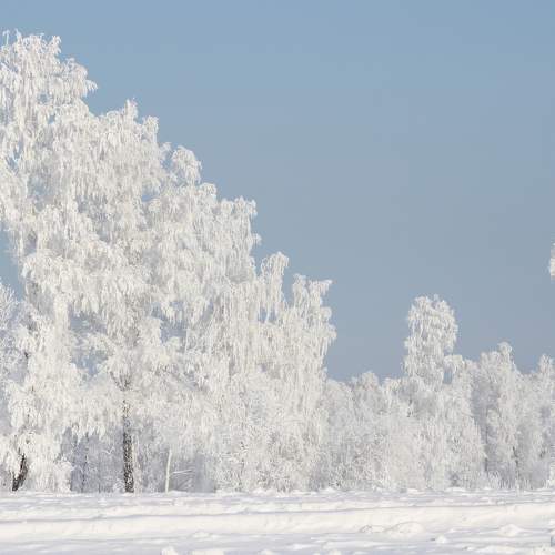 Photo #5610960